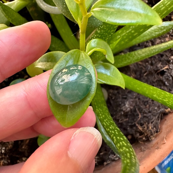 7.35 CT Natural Myanmar Jadeite Jade A Type loose gemstone. - Picture 4 of 14